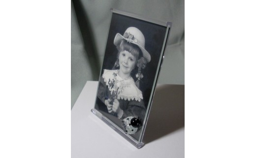 Picture Frame with Ladybird