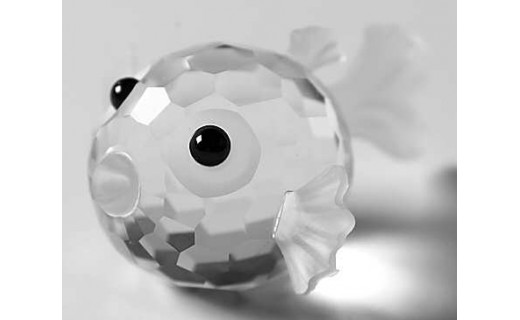 Miniature Blowfish