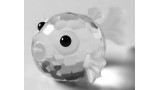 Miniature Blowfish