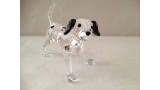 Dalmatian Puppy Standing